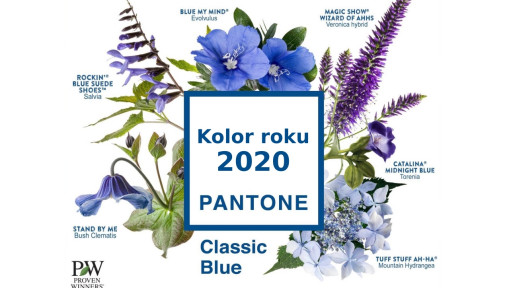 Niebieska rabata inspirowana kolorem roku 2020 Pantone Classic Blue