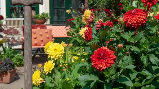 3 ważne zasady dotyczące planowania małego ogrodu