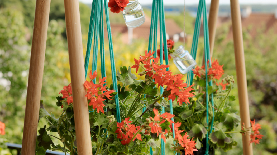 Niebieska makrama na balkon DIY fot. Pelargonium for Europe