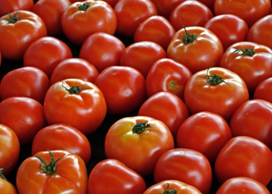 WARZYWA PSIANKOWATE_ pomidor, papryka, bakłażan, ziemniak, fot. Mike Goad - Pixabay
