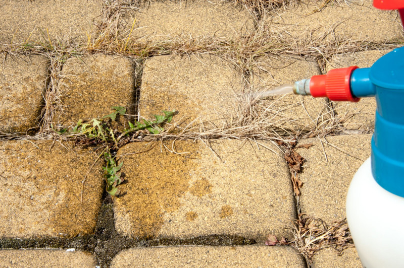 Naturalne zwalczanie chwastów na kostce brukowej fot. damiangretka - Depositphotos