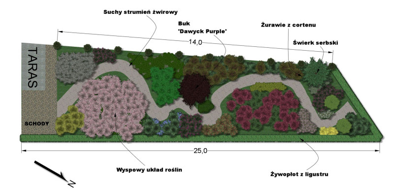 ogród preriowy pełen kwiatów rzut z góry