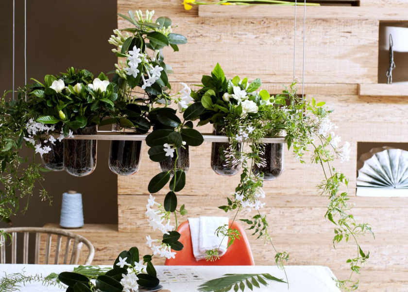 Domowa dżungla – galeria inspiracji Domowa dżungla – galeria inspiracji