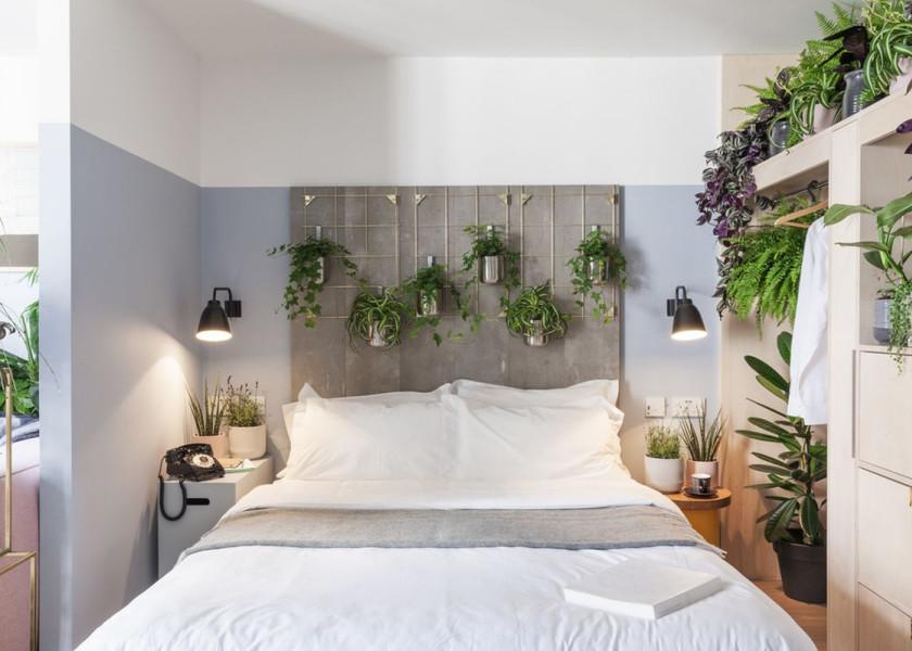 Domowa dżungla – galeria inspiracji Domowa dżungla – galeria inspiracji