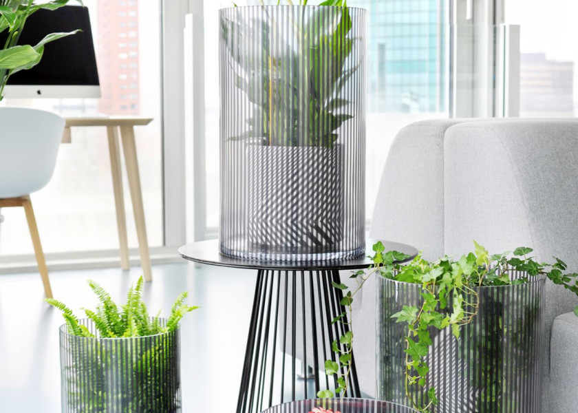 Domowa dżungla – galeria inspiracji Domowa dżungla – galeria inspiracji