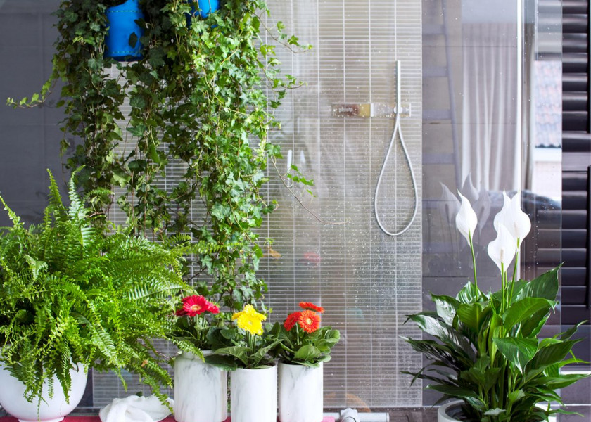 Domowa dżungla – galeria inspiracji Domowa dżungla – galeria inspiracji