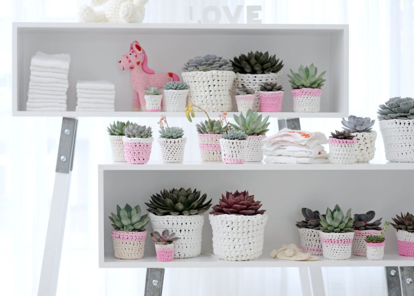 Domowa dżungla – galeria inspiracji Domowa dżungla – galeria inspiracji