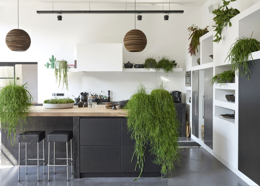 Domowa dżungla – galeria inspiracji Domowa dżungla – galeria inspiracji