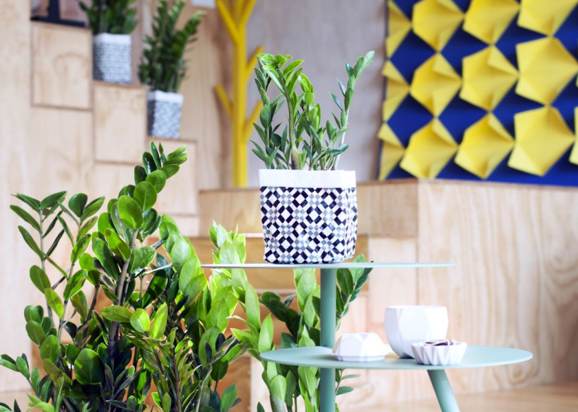 Domowa dżungla – galeria inspiracji Domowa dżungla – galeria inspiracji