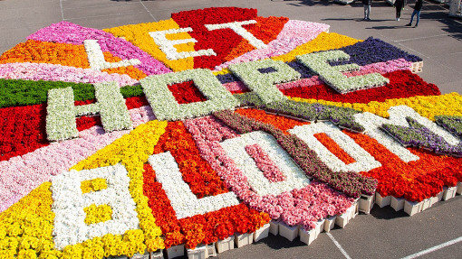 Kwiatowe przesłanie "Niech rozkwita nadzieja" #lethopebloom