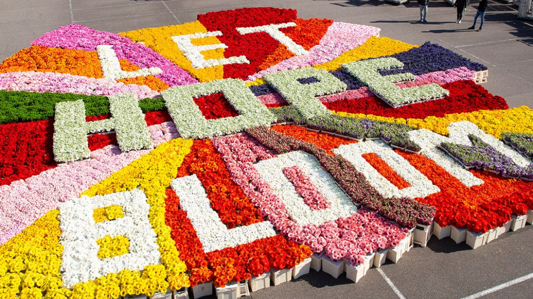 Kwiatowe przesłanie Niech rozkwita nadzieja fot. Flower Council Holland