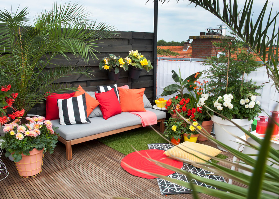 10 pomysłów na kwiatowe kompozycje na balkon, fot. iBulb