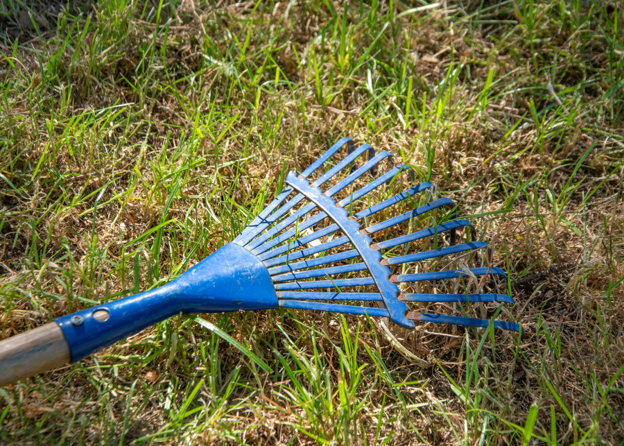 przygotowanie trawnika do wiosny fot. wondr - Pixabay