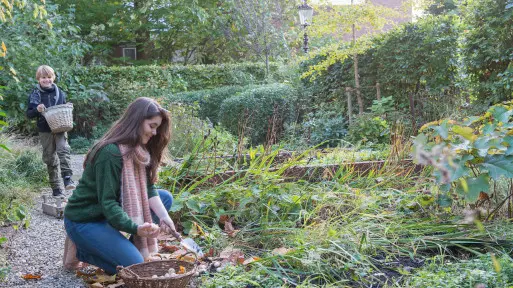 Praca w ogrodzie jako forma medytacji | Dbaj o cebulki i o swój spokój