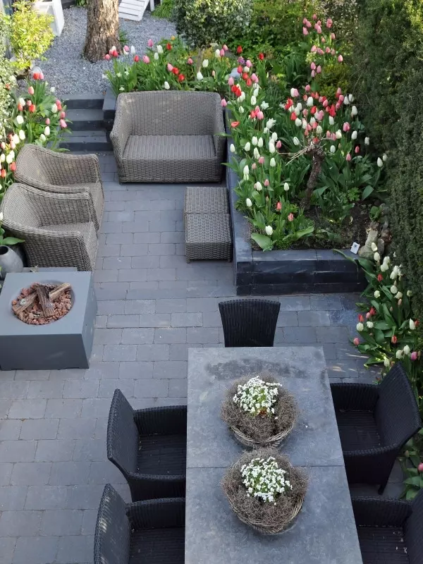 Ogrod na tarasie, fot. Flower Council Holland