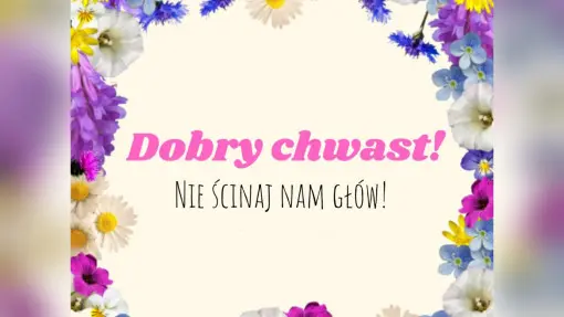 "Dobre chwasty! Nie ścinaj nam głów!": dlaczego warto rzadziej kosić trawnik