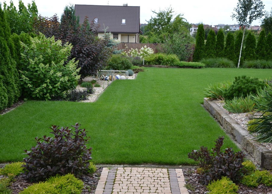 geometryczny ogród pachnący lawendą