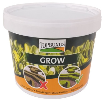 TOPBUXUS GROW