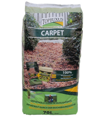 TOPBUXUS CARPET