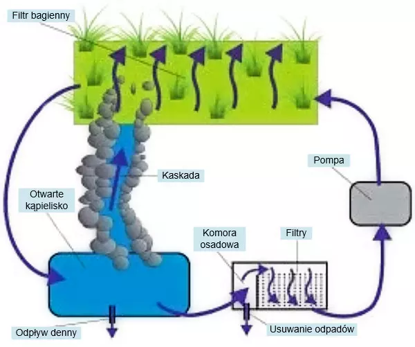 Schemat oczyszczania wody w stawie kapielowym