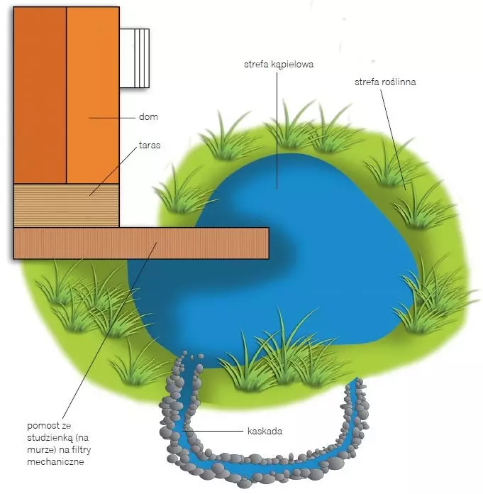 Rozmieszczenie elementow stawu kapielowego w ogrodzie