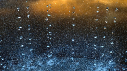 Jak wykonać oczko wodne z betonu? 2 sposoby