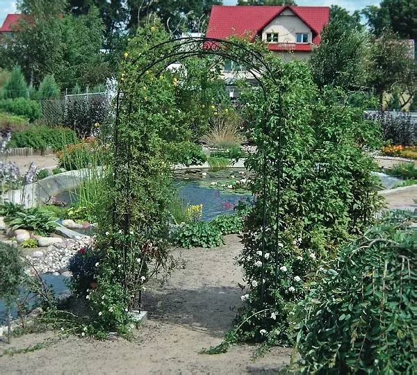 Podpora dla roślin stalowa, fot. poradnikogrodniczy