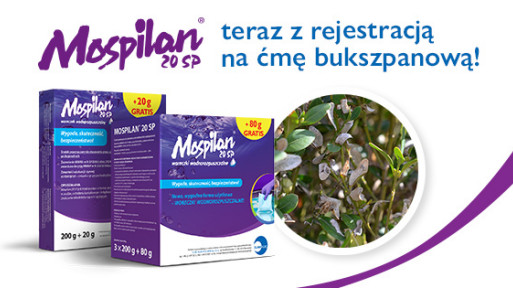 Mospilan skuteczny na ćmę bukszpanową