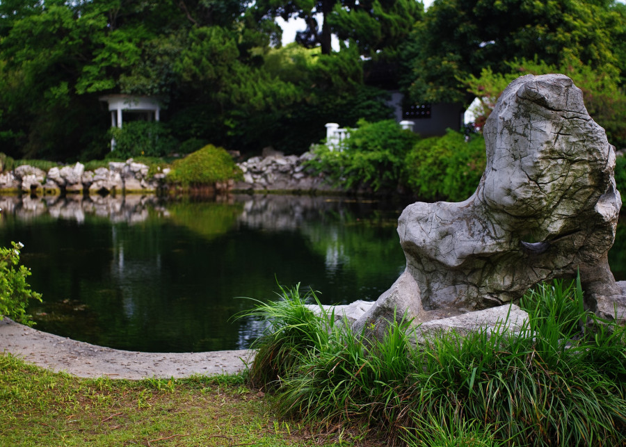 Kamień w ogrodzie, fot. Tim Tang - Pixabay