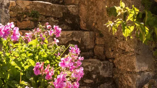 Kamień w ogrodzie: ogród skalny, oczko wodne, nawierzchnie