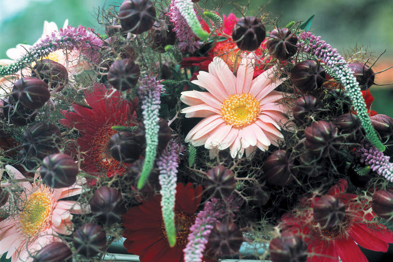 kwiaty na każdą okazję fot. Flower Council Holland 8