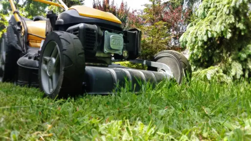 Jaką kosiarkę najlepiej kupić? Jak wybrać najlepszy model do naszych potrzeb?