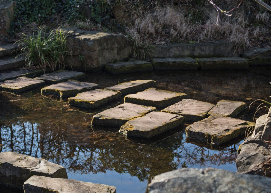 Kamienne przejście przez wodę jak je zbudować na oczku wodnym , fot. Michael Kauer - Pixabay