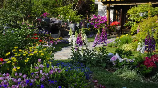 Jak produktywnie spędzać wakacje w ogrodzie? Co robić w czasie urlopu?