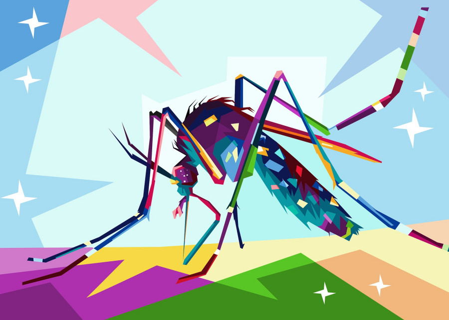 Jak korzystać z repelentów na komary, fot. Rizky Dwi - Pixabay
