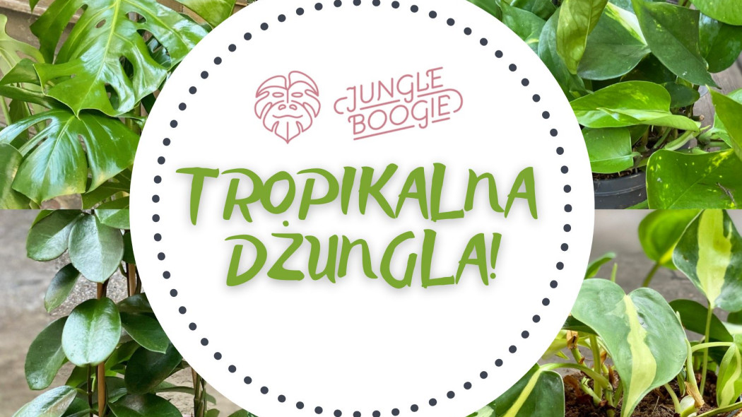 Tropikalna dżungla