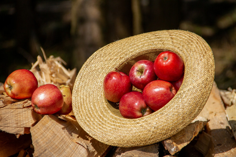 światowy dzień jabłka 2020 fot. Pixabay