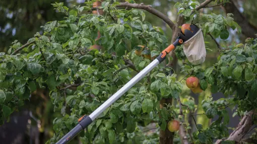 Jak ułatwić sobie pielęgnację ogrodu? Z tymi narzędziami będzie to przyjemność