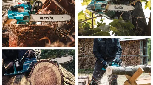 Pilarka łańcuchowa: 7 modeli do ogrodu!