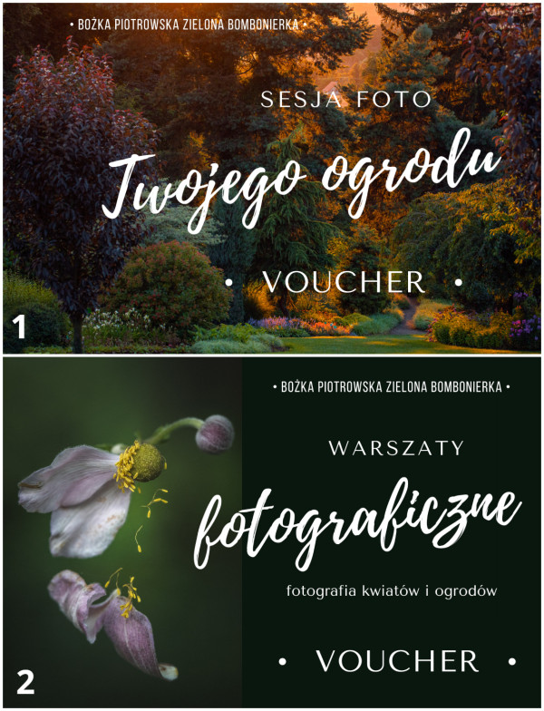 Fotografia w ogrodzie, voucher - Prezenty Gwiazdkowe