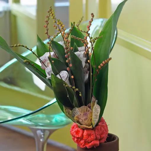 Aspidistra wyniosła
