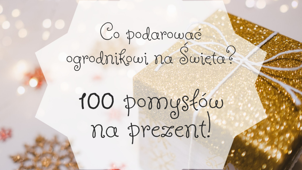 Co podarować ogrodnikowi na Święta? 100 prezentów!, fot. Pixabay