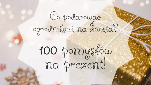 Co podarować ogrodnikowi na Gwiazdkę?