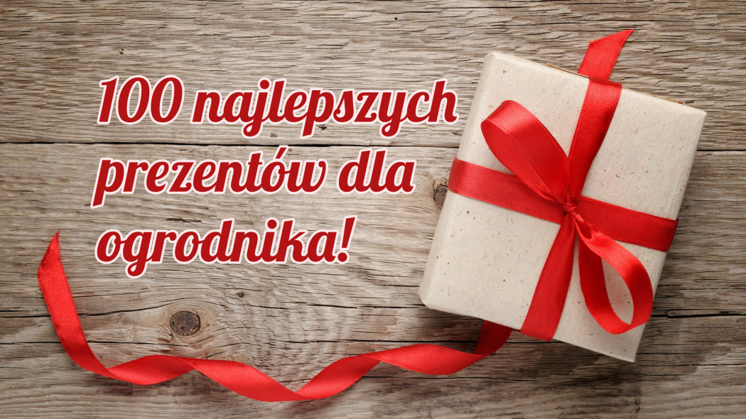 100 najlepszych prezentów dla ogrodnika, fot. Depositphotos