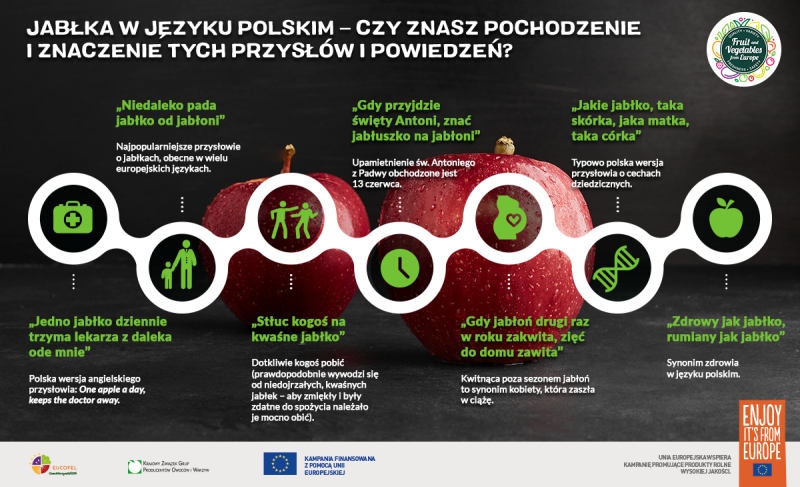 Jabłka - infografika