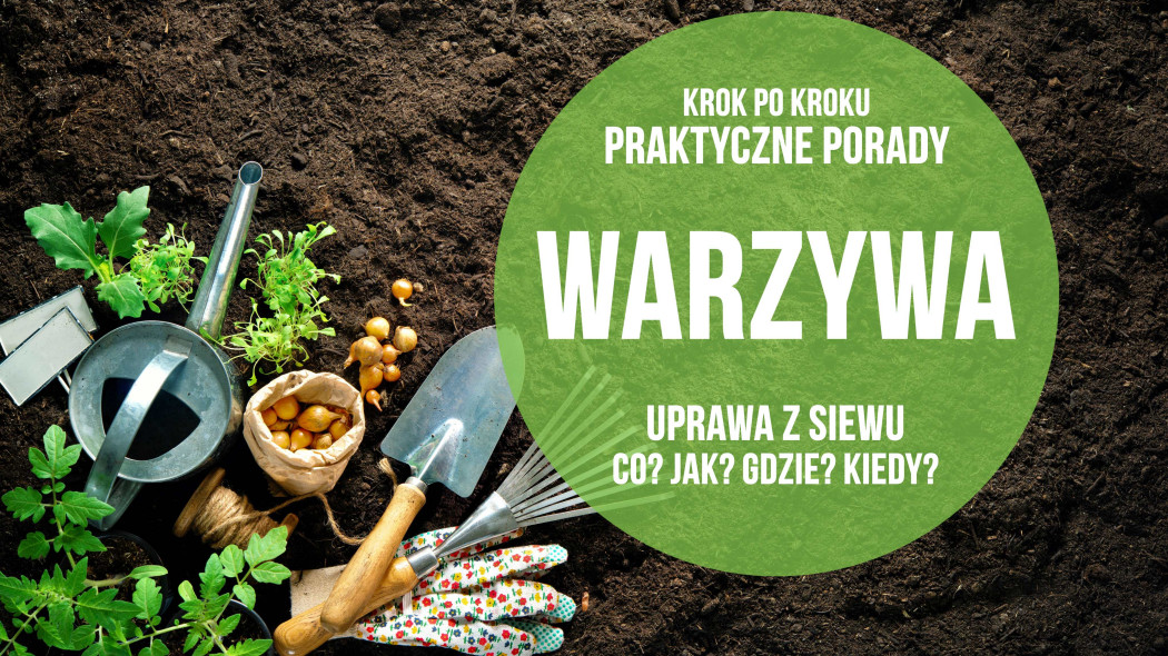 warzywa z siewu - poradnik krok po kroku