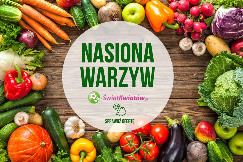 nasiona warzyw w ofercie sklepu ŚwiatKwiawów.pl