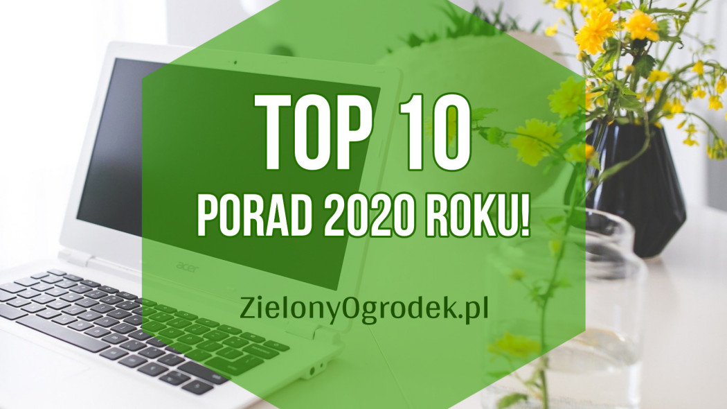 Co najchętniej czytaliście w 2020 na Zielonym Ogródku, fot. Karolina Grabowska - Pixabay(1)