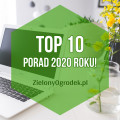 Co najchętniej czytaliście w 2020? Najpopularniejsze porady ogrodnicze