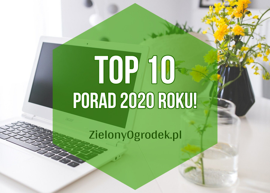 Co najchętniej czytaliście w 2020 na Zielonym Ogródku, fot. Karolina Grabowska - Pixabay(1)